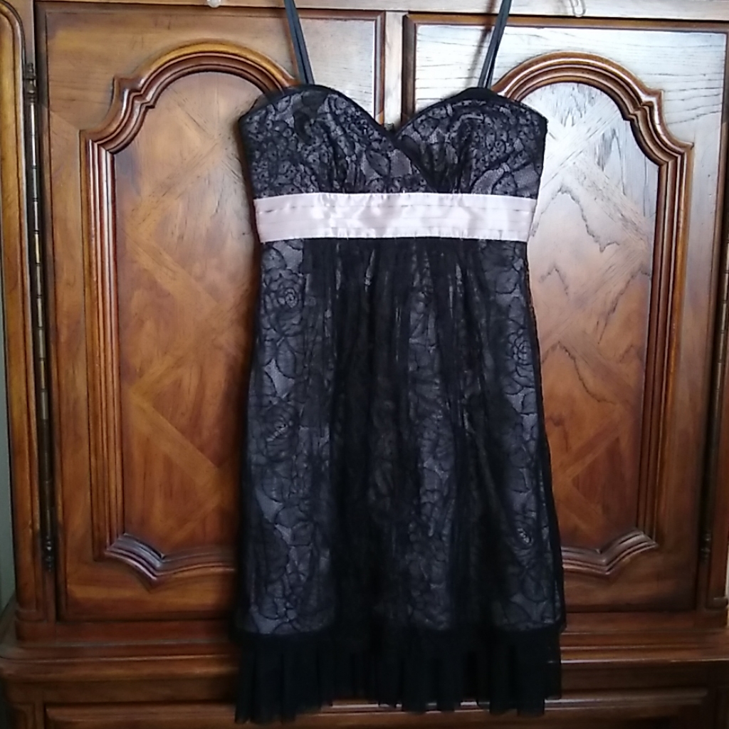 Bcbgmaxazria Strapless Mesh Lace Beaded Dress Sz 0